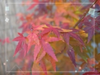 お逢いできて嬉しかった