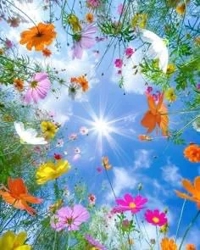 待ちナビ ななみ 年末年始の営業時間