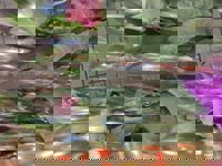 大人の遊園痴「スピーディー」　りつ（敏感で癒し系）