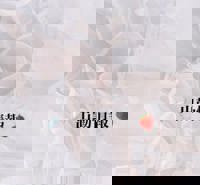 宮崎ちゃんこ中央通店　ここあ