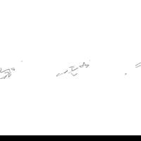 宮崎ちゃんこ中央通店(宮崎市) ゆみ