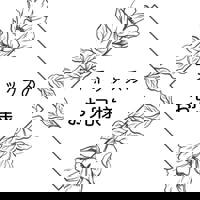 宮崎ちゃんこ中央通店　ぼたん