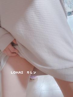 LOHAS(ロハス)　新人かれん