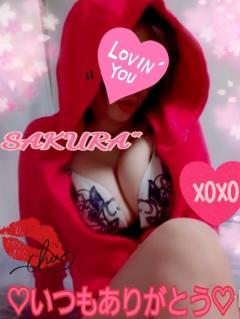 MICHELIN ミシュラン　サクラSakura