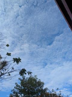 INFINITY沖縄　ふゆ【㊙︎対応キャスト】