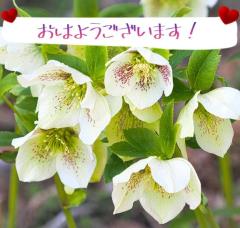 おつかれさまです(^^)