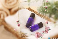 鶴富屋敷 ヒナ、(癒しの女王)