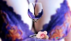 鶴富屋敷 ヒナ、(癒しの女王)