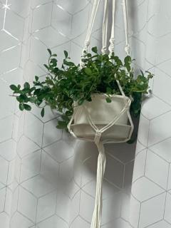 Spica(すぴか)　★さくらこ★WHITEコース