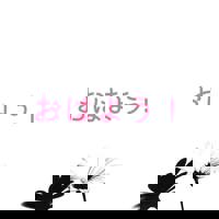 宮崎ちゃんこ中央通店　ぼたん