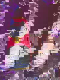 大人の遊園痴「スピーディー」　えみ（爆乳エロ娘）