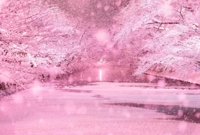 待ちナビ まお H様