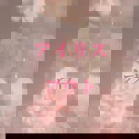 宮崎ちゃんこ中央通店　ぼたん