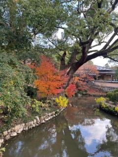 キャンディ ミホ おやすみ?=なさい😴?