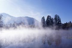 おはようございます〜🌄