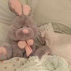 キャンディ ロミヒ 【お礼写?=メ日記】?