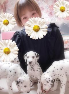 エンタメGR　はるか