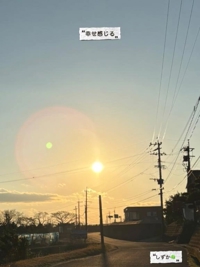 鹿児島ちゃんこ 霧島店　しずか