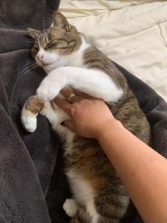 爆安＜元祖＞どすこい倶楽部　しょう子(宮崎店)