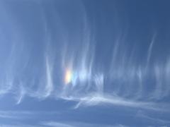 ご主人様いらっしゃい 大分店 神舌ゆい♡最強エロ女（痩せてきた）