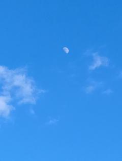 ご主人様いらっしゃい 大分店 ｳﾒ♡週末オールナイト