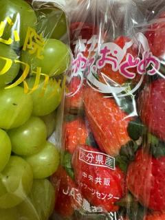 MANIN-ONREIマン淫御礼　美々（みみ）極嬢美人