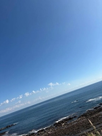 MIYAZAKI SANSAIN もみじ 年内最後