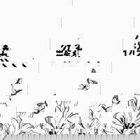 宮崎ちゃんこ中央通店 ぼたん うーん、、