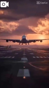 待ちナビ あん 今年もわずか....。