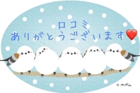 TheGrandPhoenix かおり※素人系Ｍ嬢奥様 【お礼写メ日記】