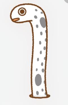 CLUB LUMINE Haru【ハル】 ?しんちゃん?