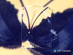  ヒナ、(癒しの女王)