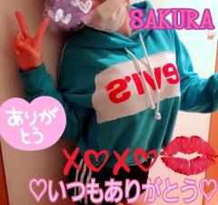 MICHELIN ミシュラン サクラSakura また書きますねっ😭😭❤️