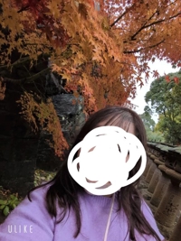 待ちナビ るな ありがとう