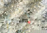 宮崎ちゃんこ中央通店(宮崎市) ここあ