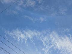 Spica(すぴか)(延岡市) 新★まい★完全業界初！