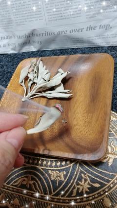 ご主人様いらっしゃい 大分店 キキ♡一皮剥けてエロさ増し増し