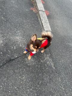 CLUB LUMINE(中津市) Haru【ハル】