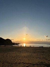 白うさぎ みさと 新年のご挨拶