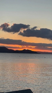 フェアリー　かな