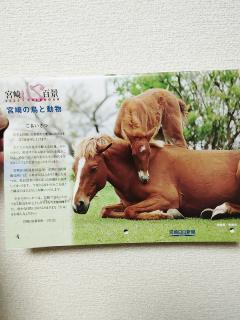 高級女性用風俗・性感エステLOVE愛撫(らぶあいぶ) ♂流星☆RYUSEI 🎍謹賀新年🎍