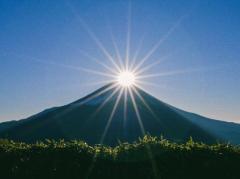 commit　みどり【五十路】