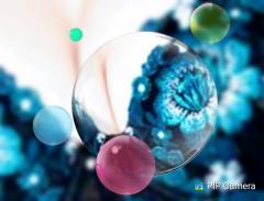 鶴富屋敷 ヒナ、(癒しの女王) ☆謹賀新年☆