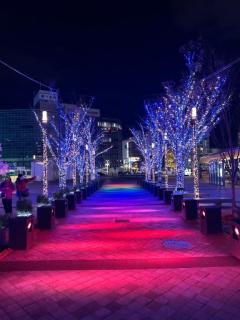 CLUB LUMINE(中津市) Haru【ハル】