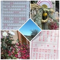 TheGrandPhoenix　ききょう※エロ美魔女