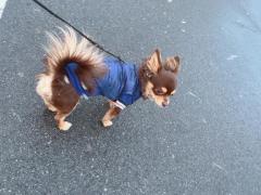 CLUB LUMINE(中津市) Haru【ハル】