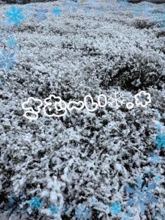 MANIN-ONREIマン淫御礼(大分市) ニ奈（にいな）淫獣ドM