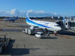 行ってきます??