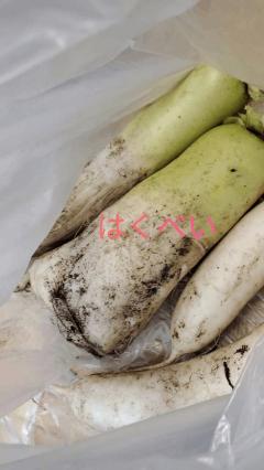 JaPON　澄子ｽﾐｺ良い値！コース