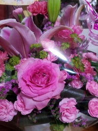 白うさぎ　めいさ